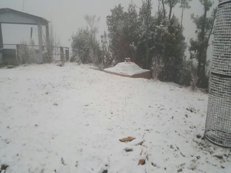 snowfal in gulmarg