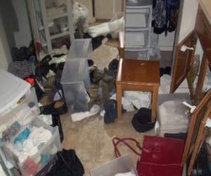 robbery of millions from chandigarh businessman house