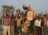 Blew cane farmers Commissioner's effigy