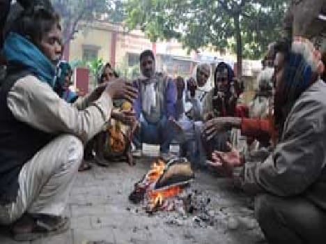 people affected due to cold