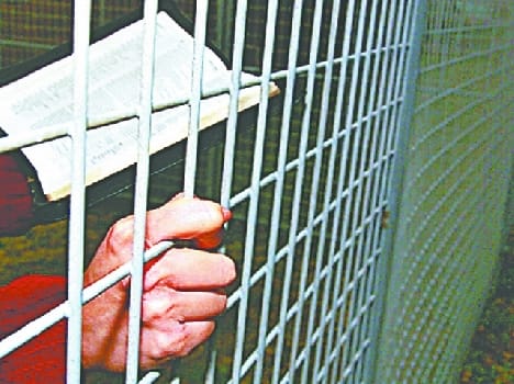 jail if polythene found