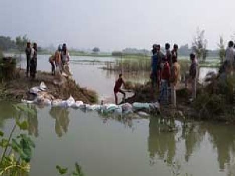 Canal inundated crop breakdown