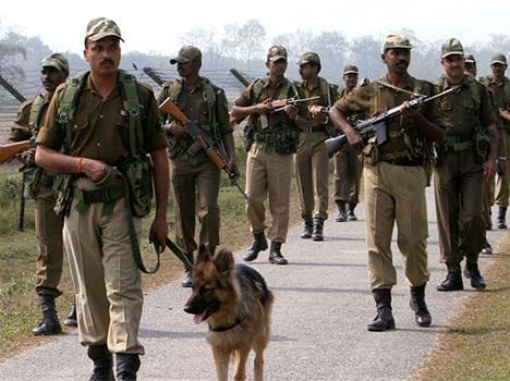 two suspect seen at palampur, search operation.