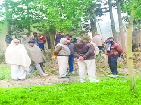 Chicken farm owner killed