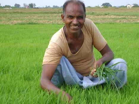fate of farmers by help of new seed
