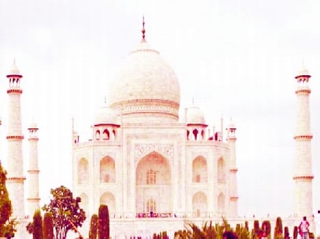 taj mahotsav