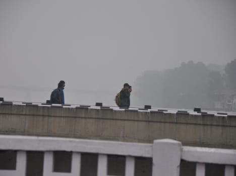 intense cold wave, fog grip jammu