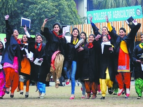 punjab, agriculture, university, convocation
