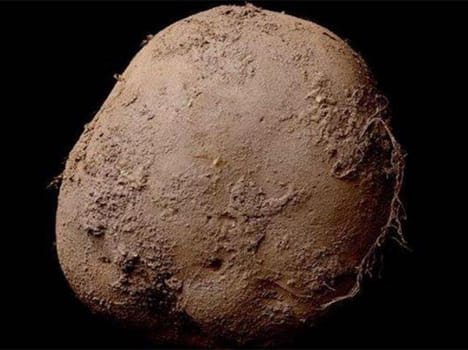 Businessman buy potato pic at 7 crores