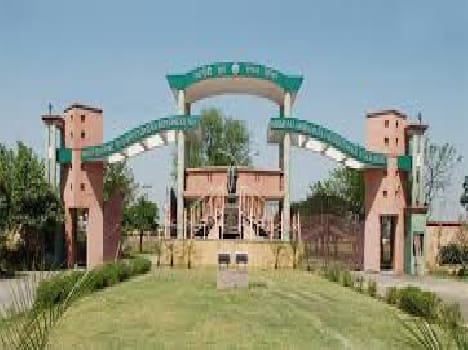 SVPUAT Meerut  news