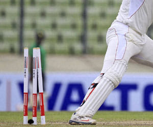 cricket 
