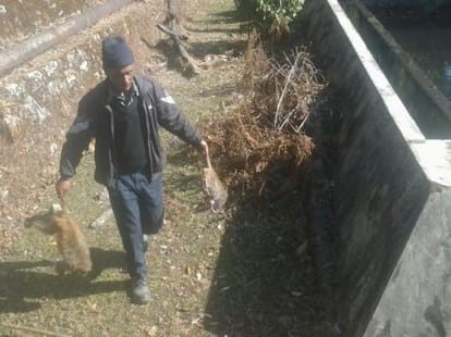22 monkeys found dead in water supply tank.