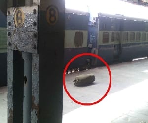 The rumor of a bomb in the train, got blankets