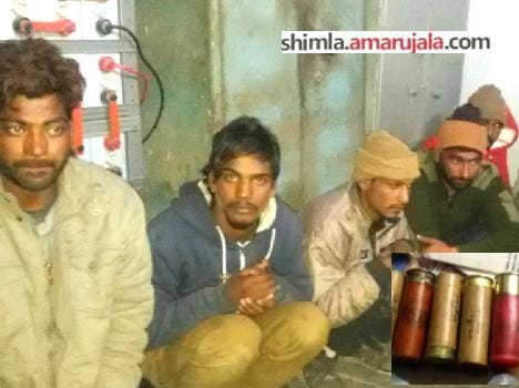 hp police arrest 7 person at una with illegal weapons.