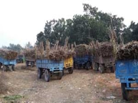 So now bother to slip before weighing Farmer