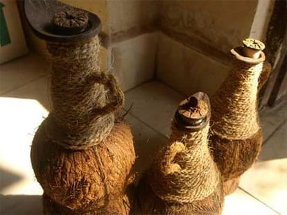goa coconut tree contoversy