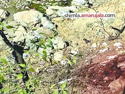 blood from slaughter house flowing into Giri river, water supply to shimla.