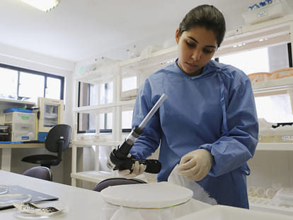 64 percent American cancel trip to Zika virus effected countries