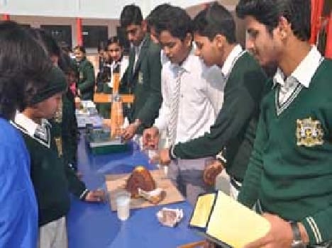 Students show skills in exhibition