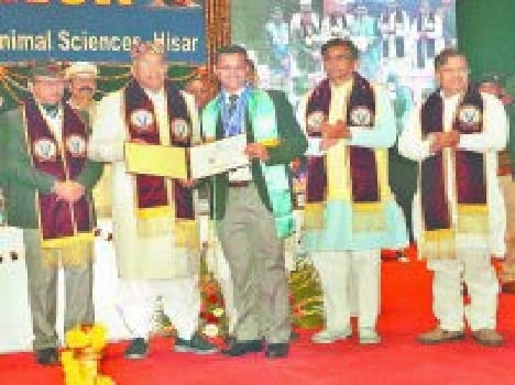 Government needs 1088 Vlda and Vs