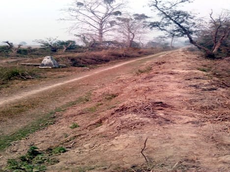 forest department acted in the no mens' land 