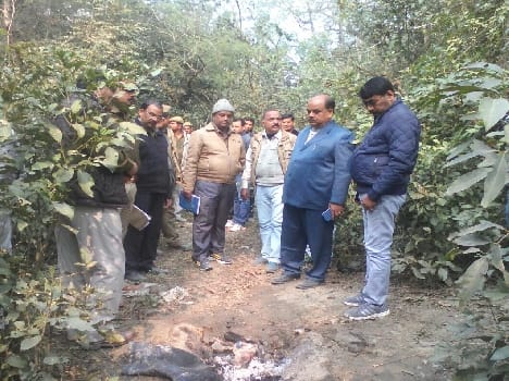  Dudhwa National Park is being made of raw alcohol