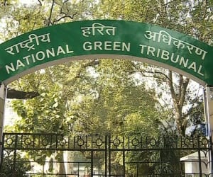ngt guideline about sensitive zone.