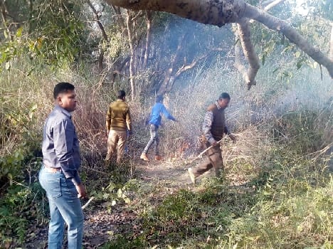 Dudhwa forest fire