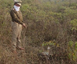 dead body found at pinjore jungle, police serch