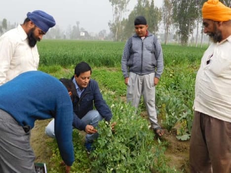 Check the soil in Punjab getting Puwayan