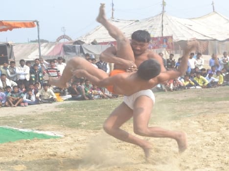 31 wrestled, award-winning wrestler