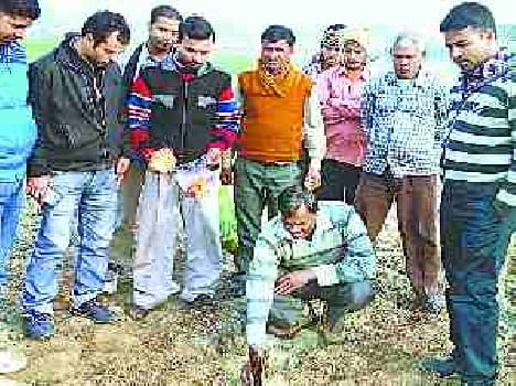 25 pond will be made in Lpoki Duban