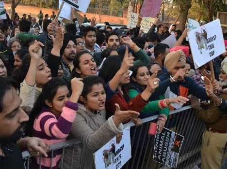 protest against dog beating incident in chandigarh
