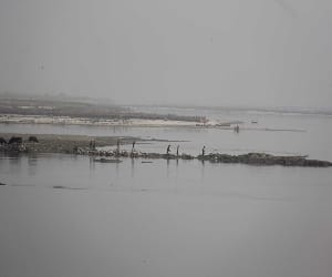 water shortage in river ganga.