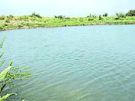Bolero fell into a pond killed , four injured