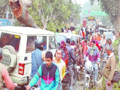 The jam began felling trees, people upset