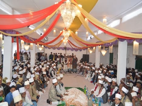 Humans are not causing panic predator: Ansar Hussain