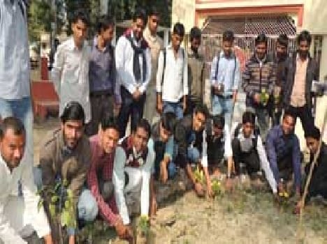 Student leaders plantation in school