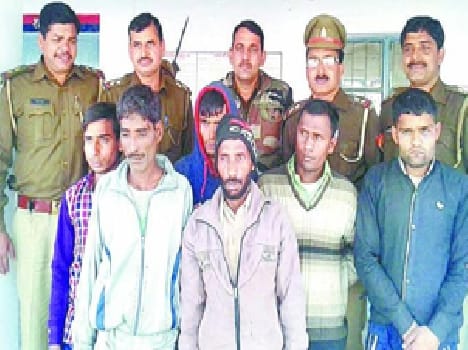 Six crooks who steal cattle was finally picked up
