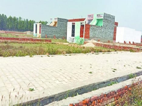 The colony of leader, the tile of leader, cost of DUDA