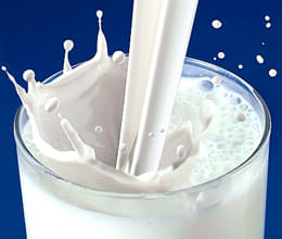 Milk would be broken down into action