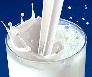 milk production in uttarakhand.