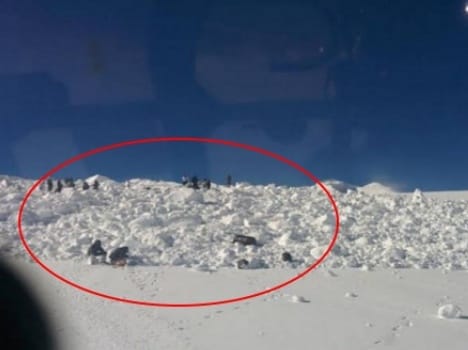 Siachen avalanche