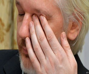 julian Assange may surrender