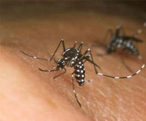 zika virus alert in gurgaon
