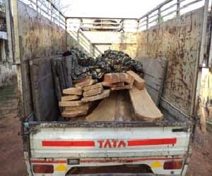 nine pieces of wood found