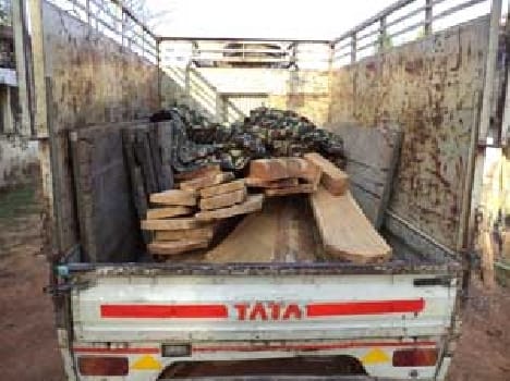 Teak seized
