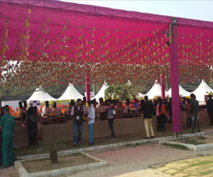 international food including music in GIG carnival