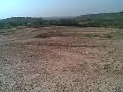 Now look at the number five acre plant