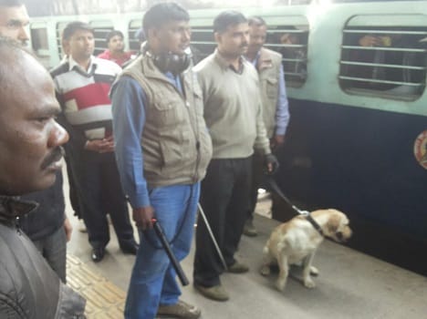 bomb in samta express, dog squad and bomb diffusion team at spot